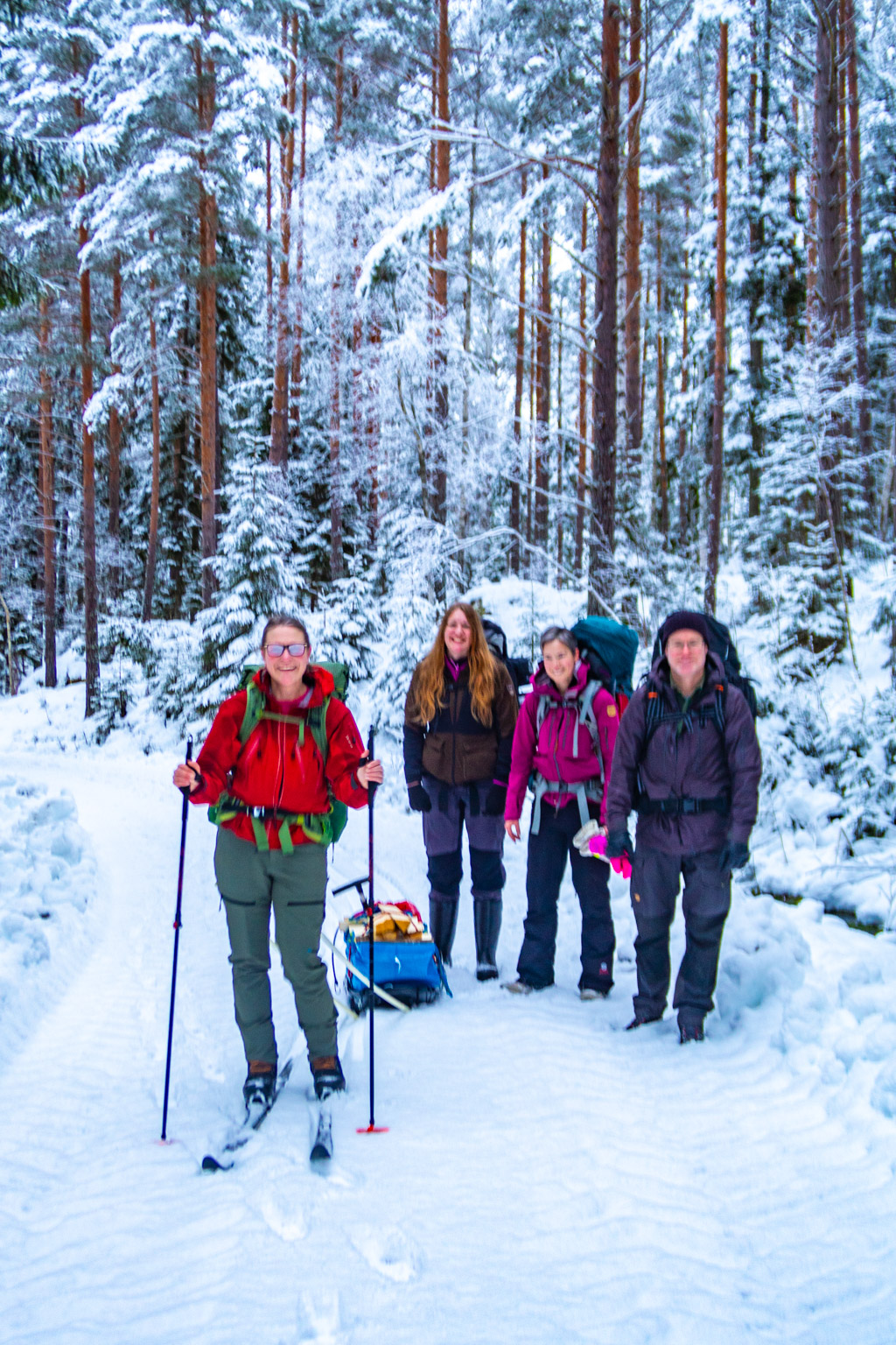 Fyra vandrare på skogsbilväg i snötäckt skog