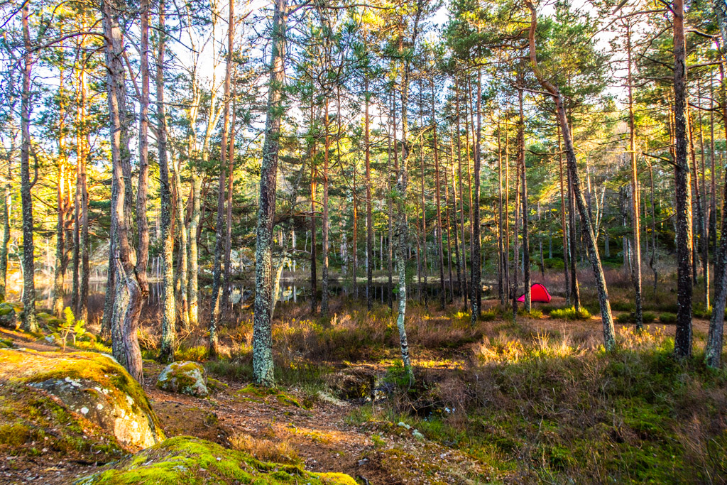 Tältet Hilleberg Niak uppsatt precis vid Lilla Horssjön, i fin tallskog