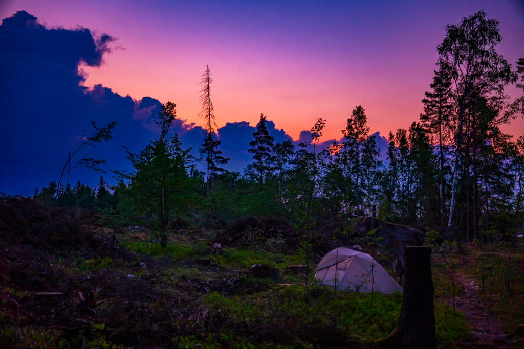 Tält uppsatt i skogen med färgstark kvällshimmel i bakgrunden.