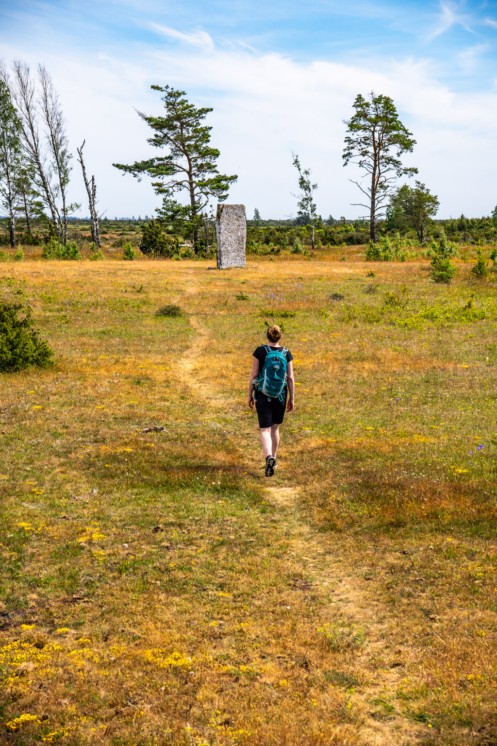 Åsa vandrar mot den södra av Tingstads flisor på Öland. 