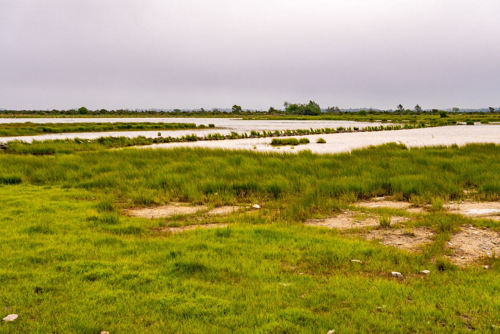 Möckelmossen, en sjö på Öland.