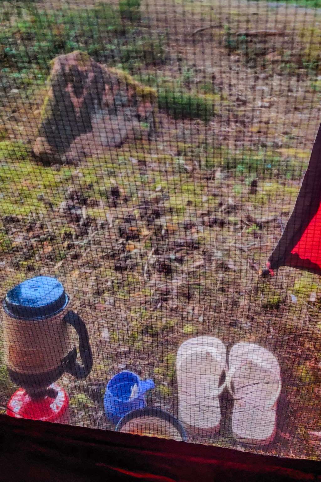 Foto inifrån ett tält bakom myggnätet, visar gaskök, flipflops och annat som står utanför. 