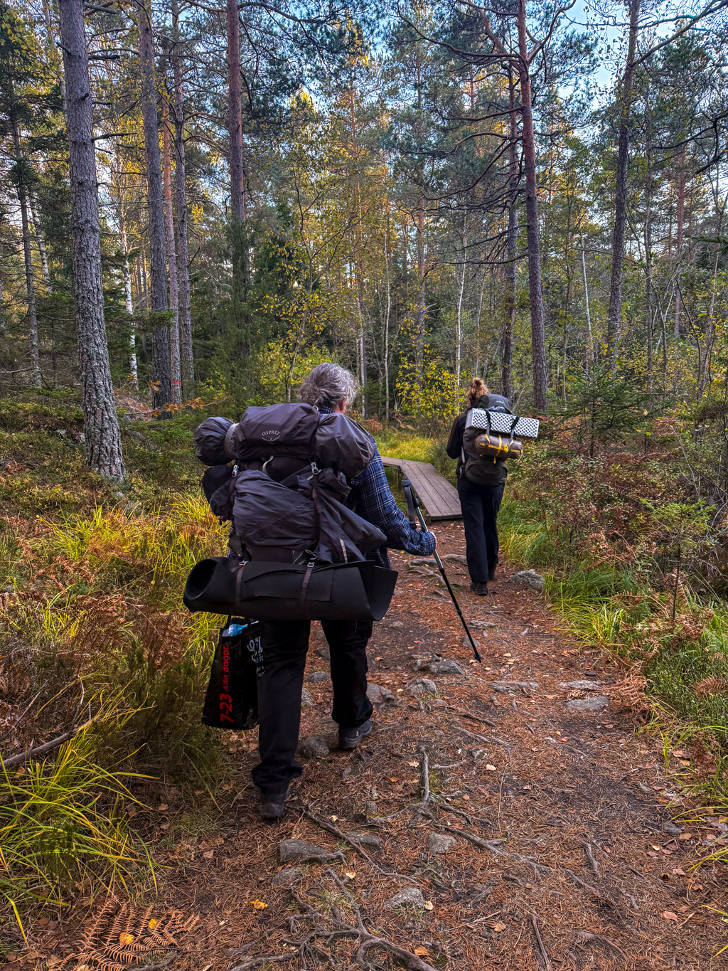 Två kvinnor med ryggsäck vandrar i skogen. 