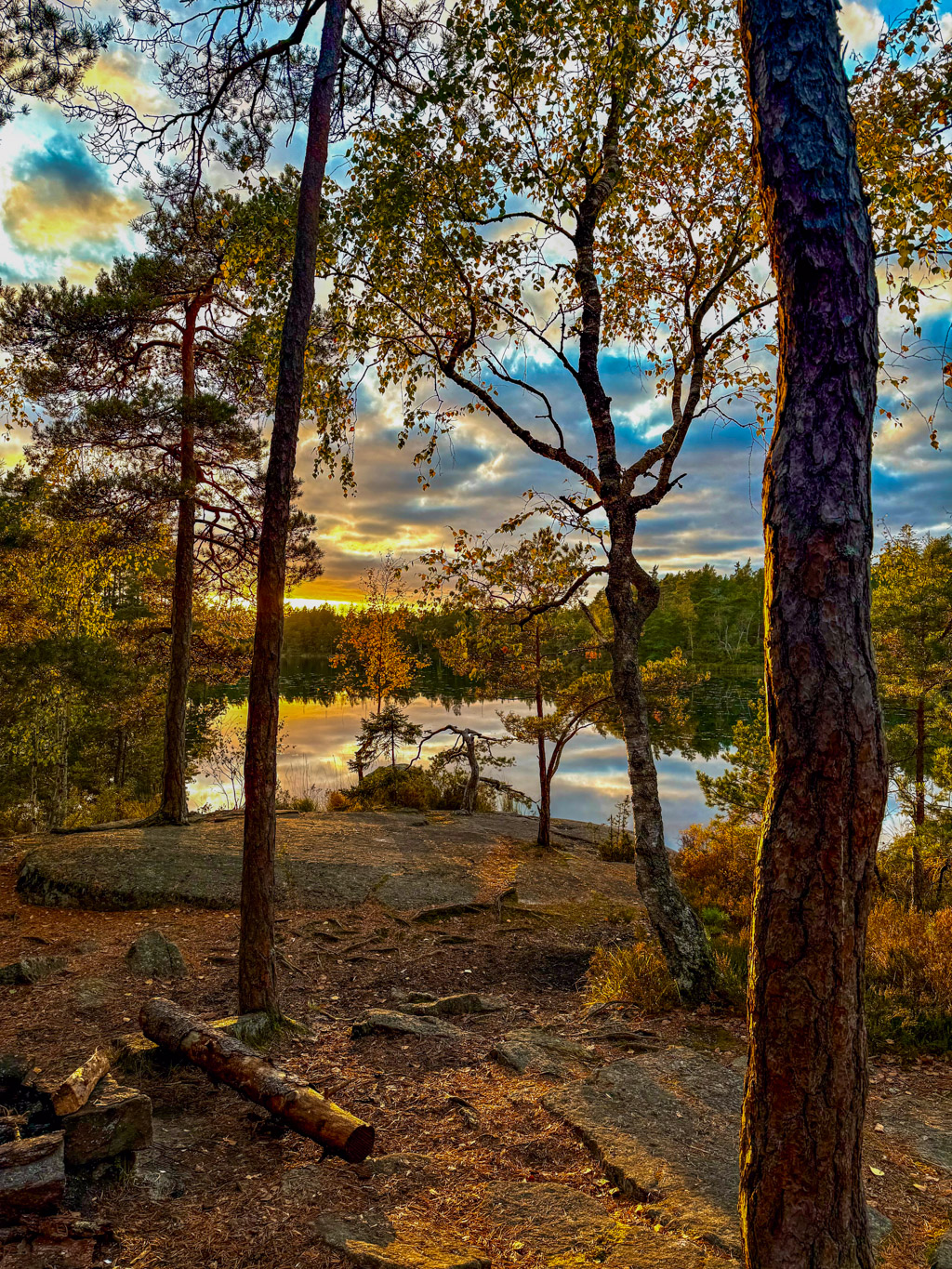 Varmt och vackert ljus över skog, träd och sjöar när solen går ner i vid en utenatt i Paradiset naturreservat. 