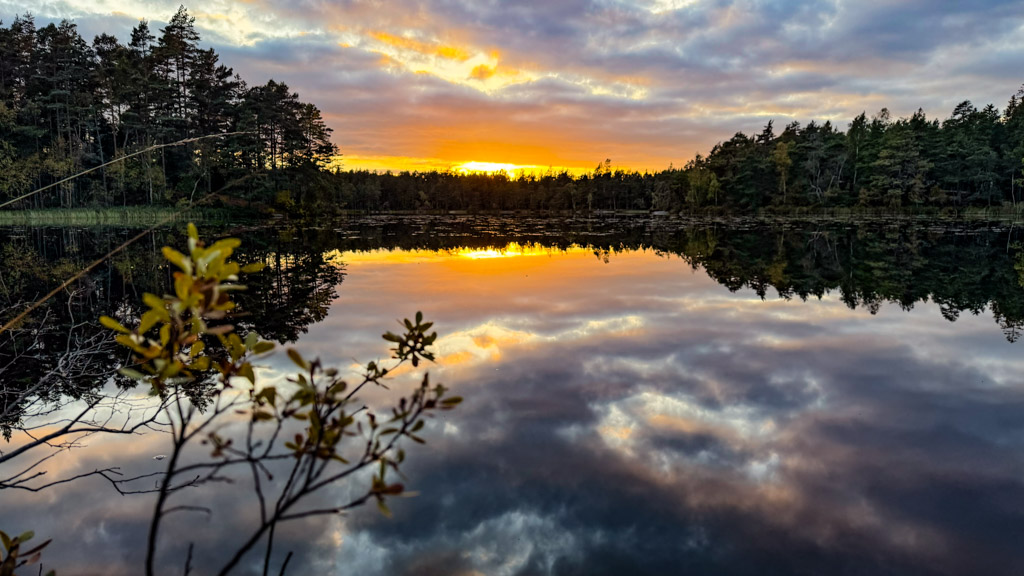 Solnedgången speglar sig i sjön Enhörningen i Paradiset naturreservat.